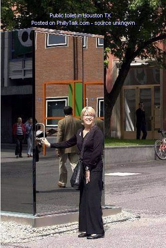public toilet 1